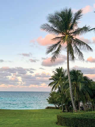 Vacation Edit