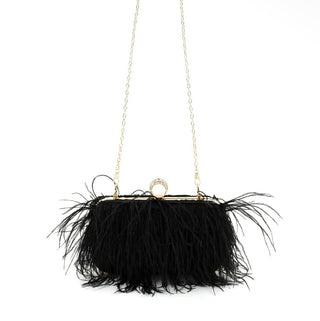 Feathers Evening Clutch