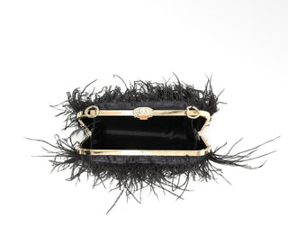 Feathers Evening Clutch