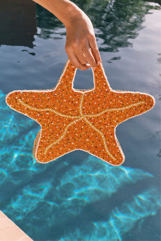 Beaded Starfish Bag