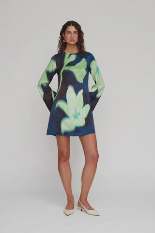 Brisa Mini Dress