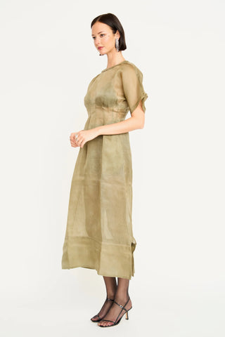 Wailen Organza Dress