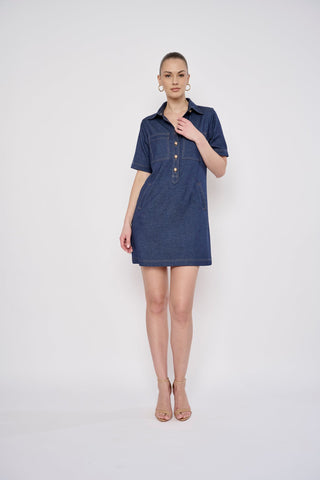 Alix Denim Dress