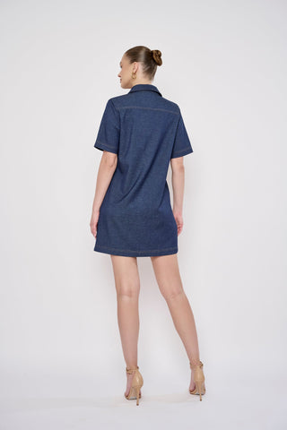 Alix Denim Dress