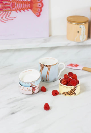 Giraffe Stacking Measuring Cups