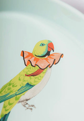 Large Round Roaster - Parakeet